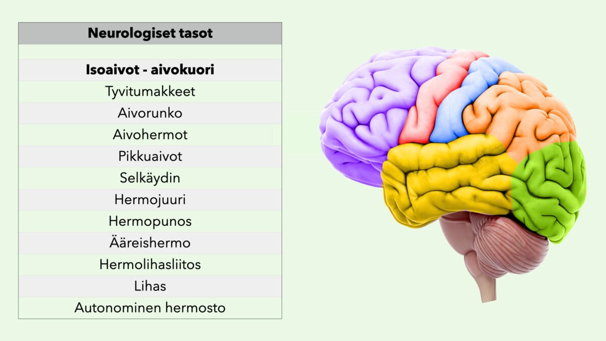 Neurologiset tasot – Neurobasket