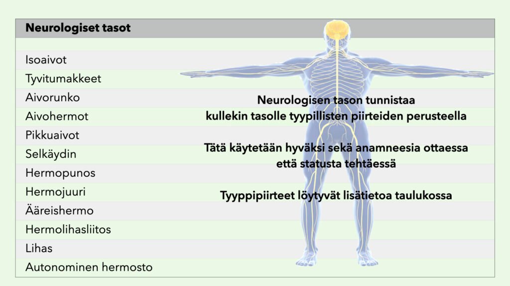 Neurologinen statustutkimus Neurobasket
