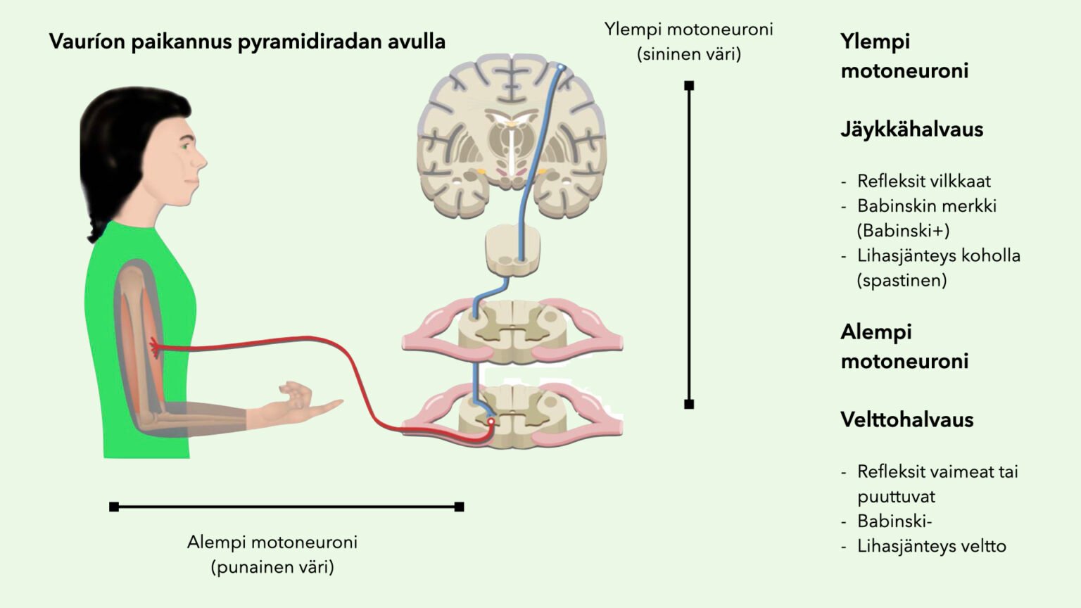 Neurologinen statustutkimus Neurobasket
