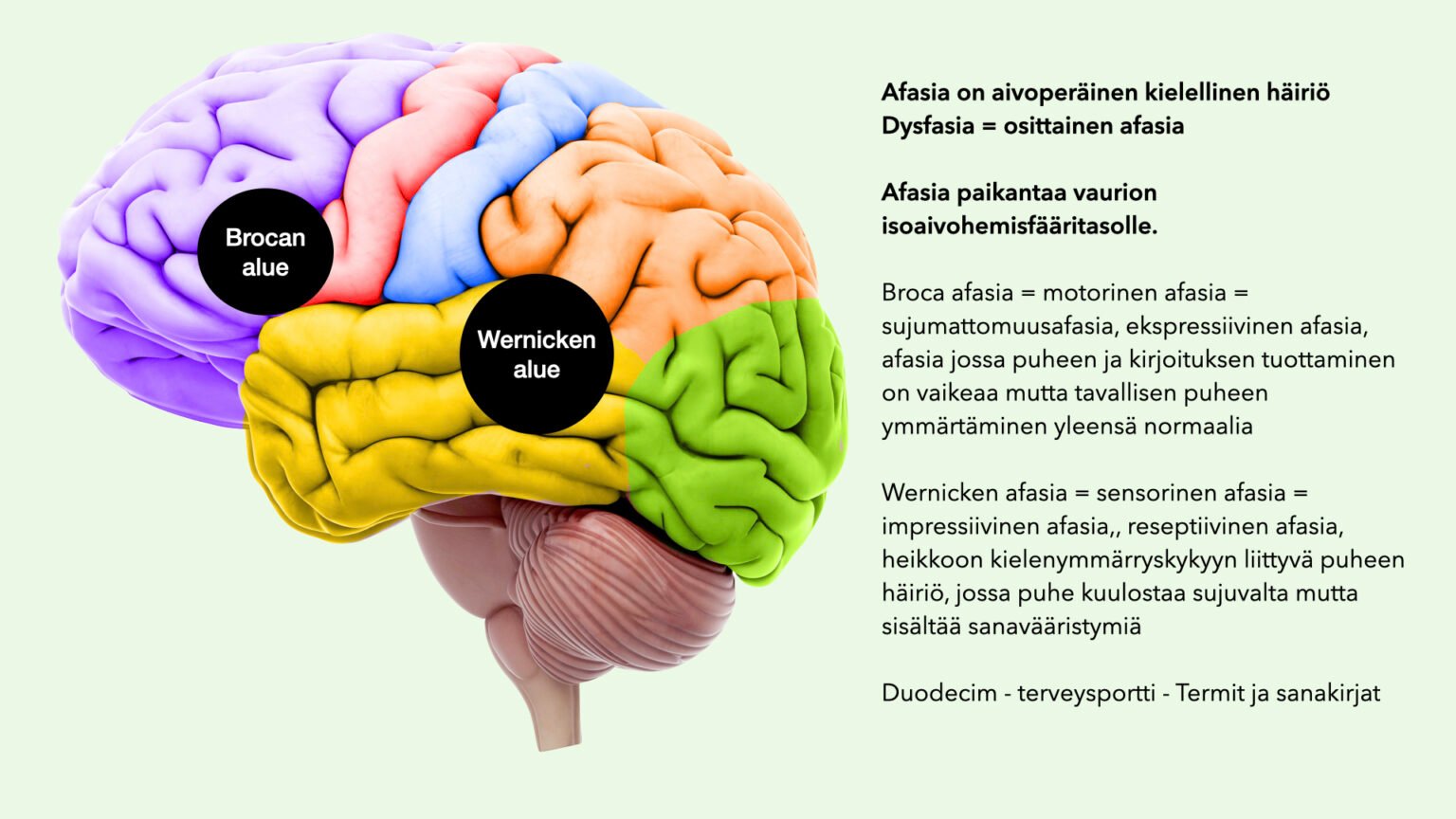 Neurologinen Statustutkimus – Neurobasket